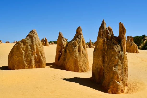 istock Australia, The Pinnacles, 1711-93 897584846
