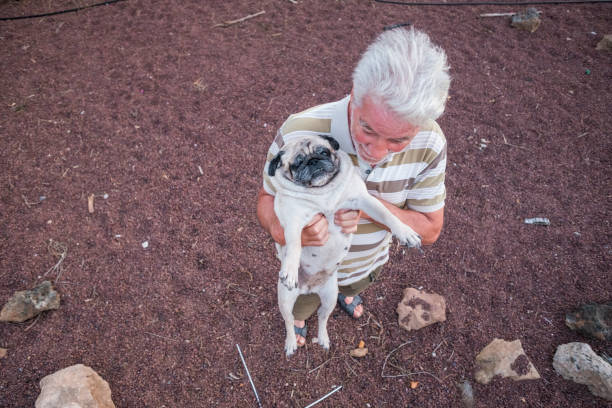 istock man plays with his pug puppy dog 897597028
