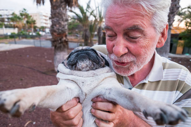 istock selfie for elderly white hair man and his pug dog 897599140