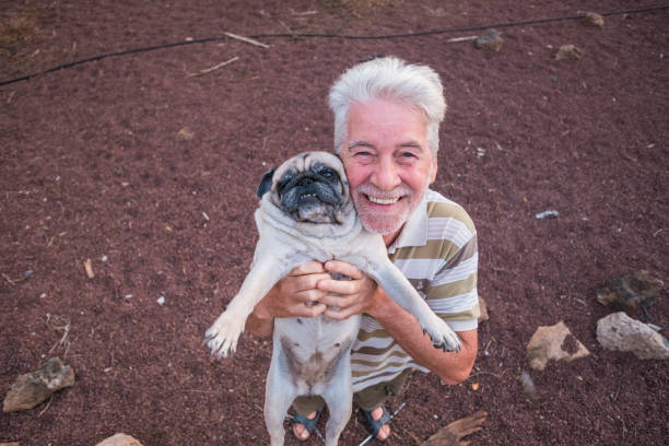 istock Elderly himan and pug hug themselves. Stones background 897599490