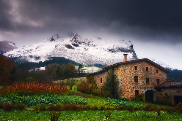 farming house with orchard near the Anboto mountain