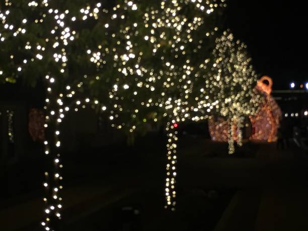 istock Christmas in Round Rock 897599520