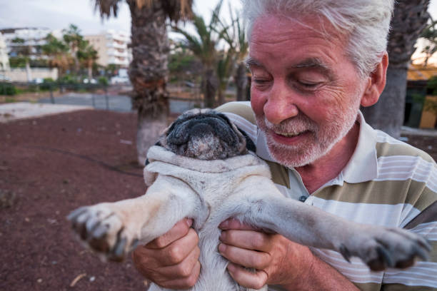 istock man plays with his pug puppy dog 897599766