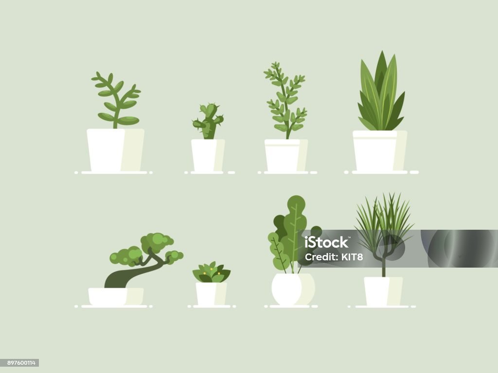 Houseplant in pots Houseplant in pots. Green natural decor for home and interior. Vector illustration Plant stock vector