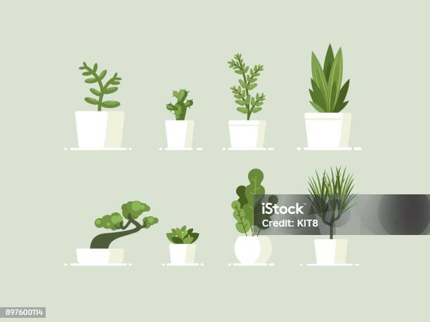 Houseplant In Pots Stock Illustration - Download Image Now - Plant, Potted Plant, Flower Pot