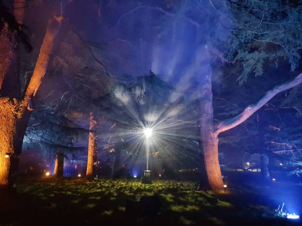 verzauberte weihnachten im westonbirt - farbige bäume in der nacht " - great red spot stock-fotos und bilder