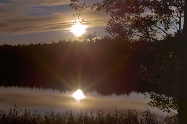 istock the sunset, the sun reflected in the water, the sun breaks through the trees 897616514
