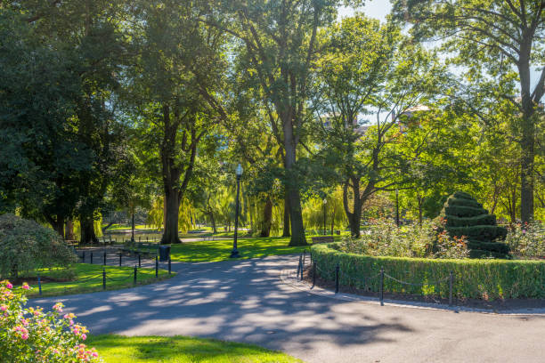 istock Boston USA Public Garden 897619624
