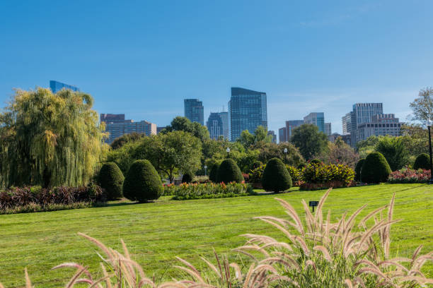 istock Boston USA Public Garden 897619642