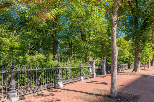 istock Boston USA Public Garden 897619662
