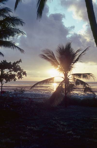 istock Sunset, East Africa 897642090