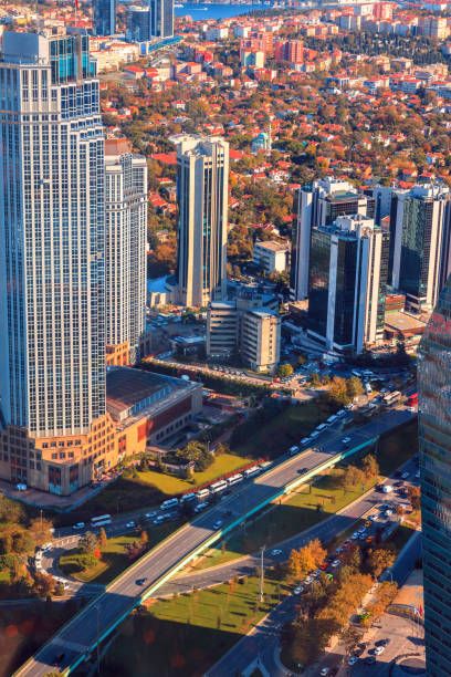 istock Cityscape, view from the height Istambul (roofs) 897650388