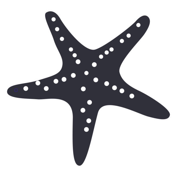 격리 된 불가사리 실루엣 - starfish stock illustrations
