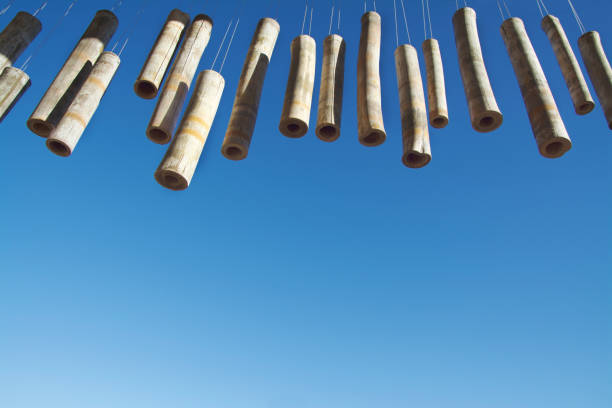 These Hanging Chimes grace the entrance to the magical Wirikuta Garden. This photo was taken when the sky was a gradient blue, the wind was still and the sun was about 2 o’clock to the west. Each bamboo chime had lightly colour rings with hollow centers which appeared to almost look like bones of limbs. Many chimes had perfectly symmetrical centers and each chime hung at a different height on this man-made wind mobile. My visit occurred mid-week therefore the garden was very still except for the facilities’ dog, who followed me constantly through the hot and dry afternoon. He was a nice dog.