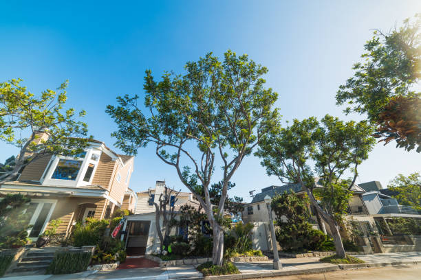 istock Balboa island on a sunny day 897665268