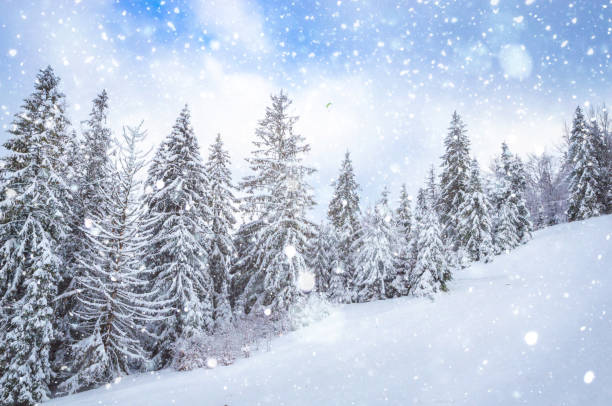 istock Beautiful winter landscape with snow on the trees 897668272