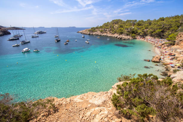 istock Cala Salada beach, Ibiza, Spain 897671862