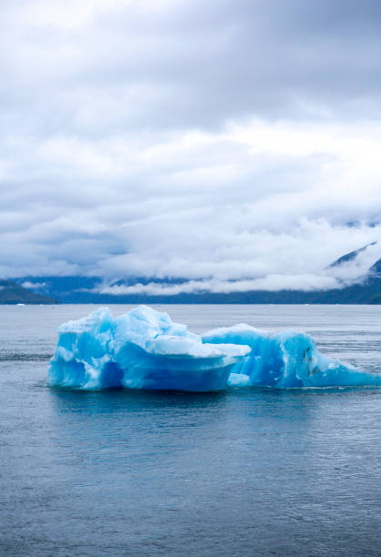 istock Blue Iceberg floating in a mountainous bay - vertical 897691550