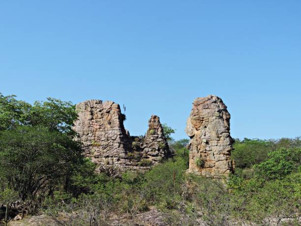 istock Landscape/ Rock mountains in the caatinga in northeastern Brazil 897691902