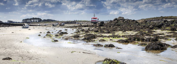 maré baixa em britanny, lilia, frança, em um dia ensolarado - buoy anchored sea wave - fotografias e filmes do acervo