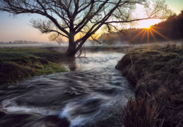 istock spring morning. picturesque stream. foggy dawn 897708038