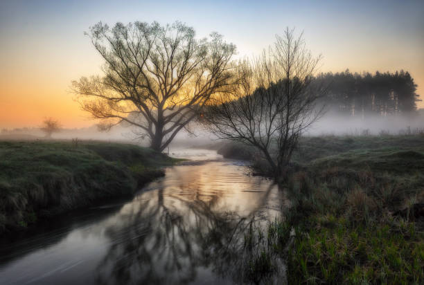 istock spring morning. picturesque stream. foggy dawn 897708048