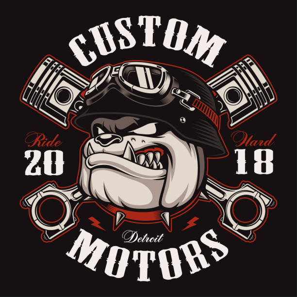 Biker Bulldog biker t-shirt design (color version) Bulldog biker with crossed pistons. Vector illustration with motorcycle rider on dark background. Shirt graphics (COLOR VERSION) All elements, colors, text (curved) are on the separate layer. Easy editable. motorcycle tattoo designs stock illustrations