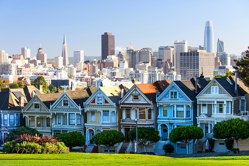 Famous painted ladies after sunset