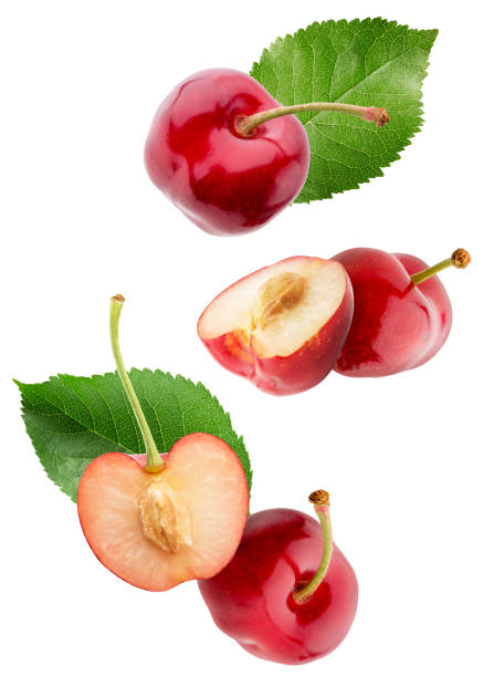 istock sweet cherries isolated on a white background 897726884