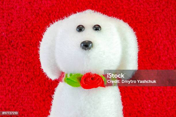 Perro De Peluche Suave Blanco Aislado Sobre Fondo Rojo Foto de stock y más banco de imágenes de Animal