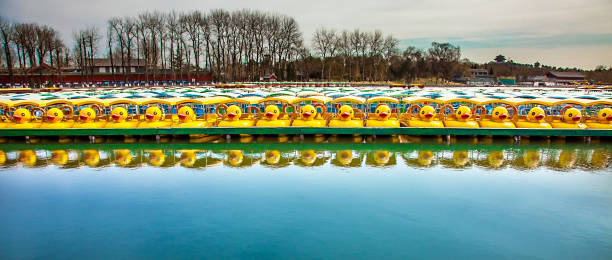 no parque beihai em pequim na china - dongcheng district - fotografias e filmes do acervo