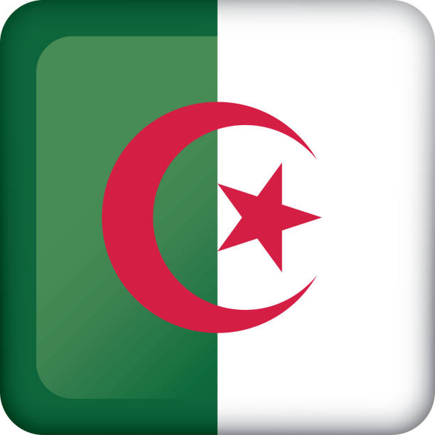 symbol für quadrat-taste flagge von algerien. ideal für kataloge von institutionellen materialien und geographie - soccer soccer ball symbol algeria stock-grafiken, -clipart, -cartoons und -symbole