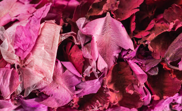 istock colourful dried flowers petals and leaves. 897778452