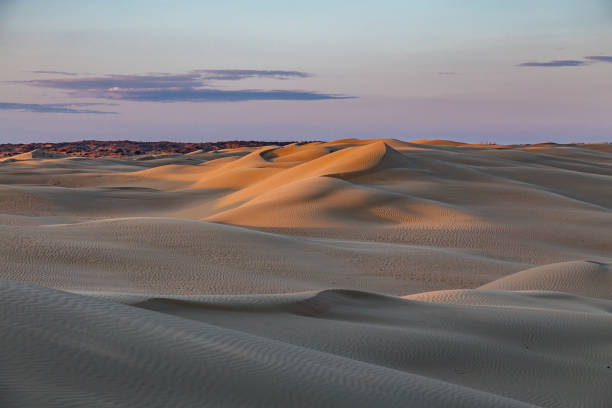 모래 사막 새벽 - white desert 뉴스 사진 이미지