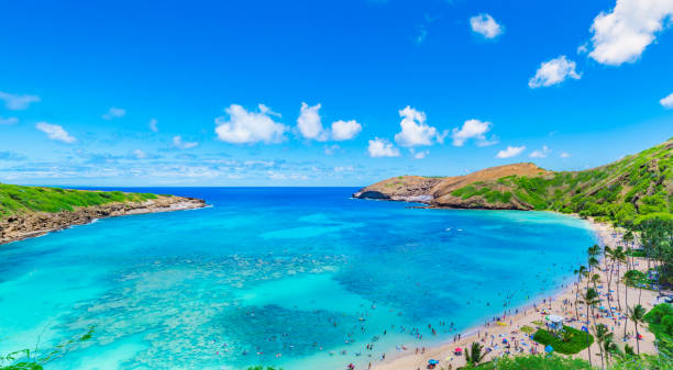 istock Hanauma Bay in Hawaii 897796686
