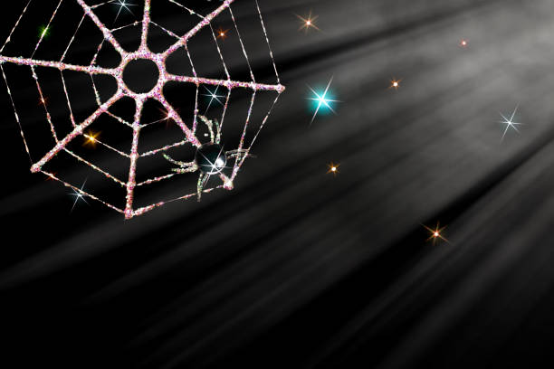 Magical Christmas spider decoration by the light of a mystical moon. Icy web in sparkling moonlit night sky. Black background with copy space. Fantasy image for card or party invitation.