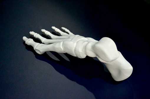 White prototype of the human foot skeleton printed on 3d printer on dark surface. Fused deposition modeling, FDM. Progressive modern additive technology. Concept of 4.0 industrial revolution