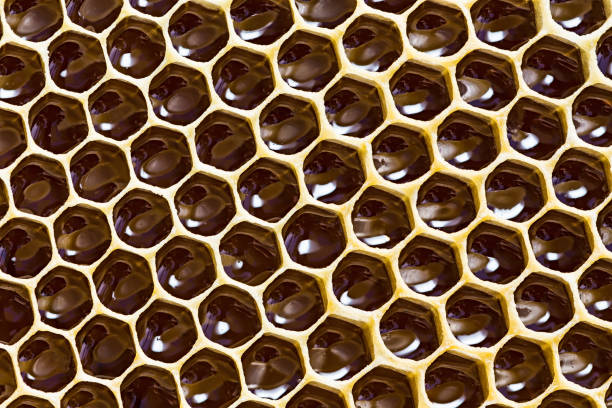 istock close-up texture of honeycomb with honey 897847600