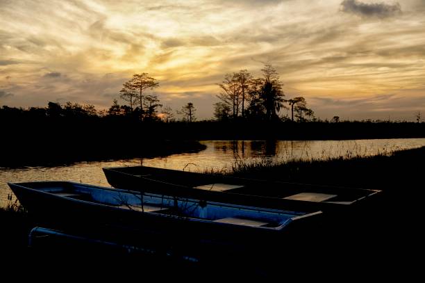 istock Orange Sunset in the Everglades 897847772