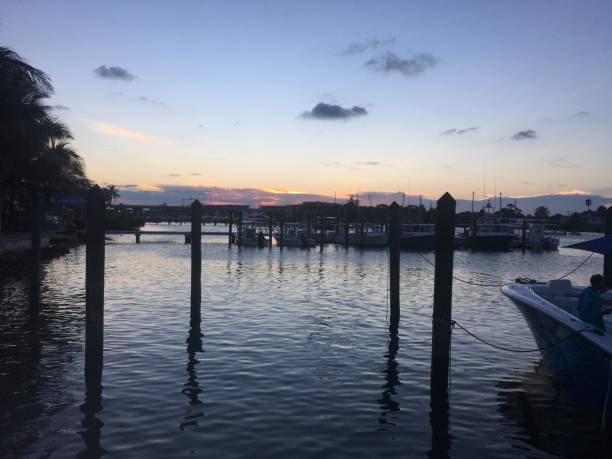 istock night in the marina 897847816
