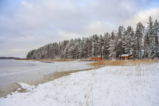istock Spruce forest on the lake shore in winter 897857906
