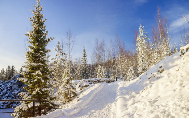 eine spur in der mountainbike-park ruskeala im winter - winter woods frost fragility stock-fotos und bilder