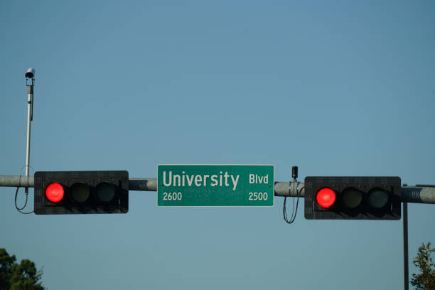 istock Traffic Signals in the City 897863106