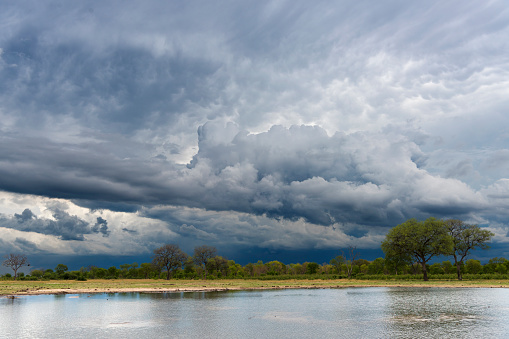 Stormy skies at the onset of the rainy season in Hwange National Park, Zimbabwe.