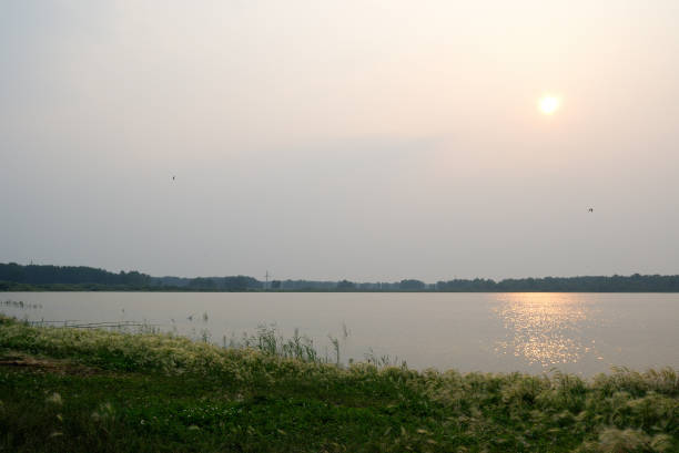 istock State-owned Cherlaksky Lake District, Omsk region, Russia 897865598