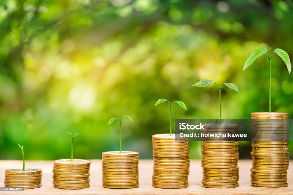 Tree growing on money coins arranged as a graph on wooden table with natural bokeh background, concept of business growth and save money Tree growing on money coins arranged as a graph on wooden table with natural bokeh background, concept of business growth and saving money Finance Stock Photo