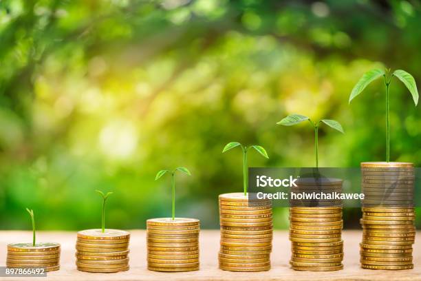 Tree Growing On Money Coins Arranged As A Graph On Wooden Table With Natural Bokeh Background Concept Of Business Growth And Save Money Stock Photo - Download Image Now