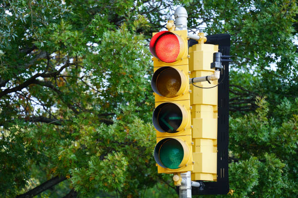 istock Traffic Signals in the City 897875834