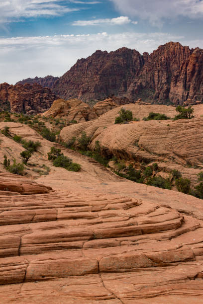 Vertical view of Snow Canyon State Park Vertical view of Snow Canyon State Park in Utah. snow canyon state park stock pictures, royalty-free photos & images