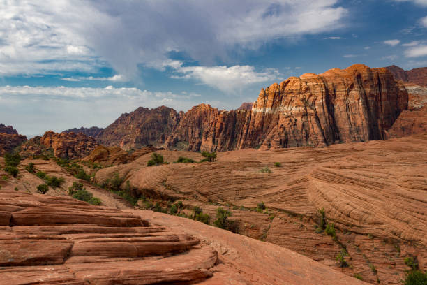 Incredible Snow Canyon State Park Incredible Snow Canyon State Park near St. George Utah. snow canyon state park stock pictures, royalty-free photos & images